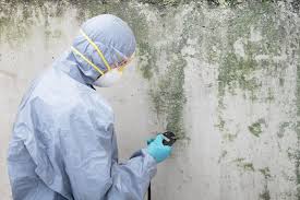 Best Comprehensive Air Testing for Mold Contaminants  in Agency Village, SD